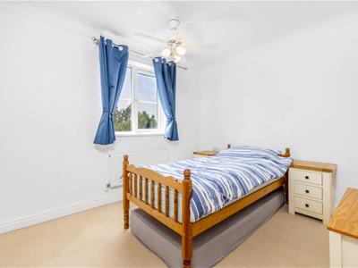 Picture 16